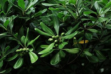 《异界深渊：大灵王》首测盛大开启！下载分享赢实物豪礼！